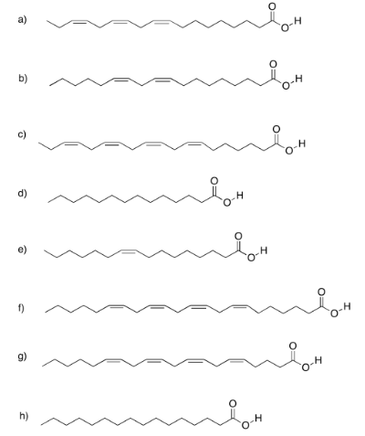 Respuestas al Ejercicio 4.13.3, de la a a la h, mostrando varios ácidos grasos.