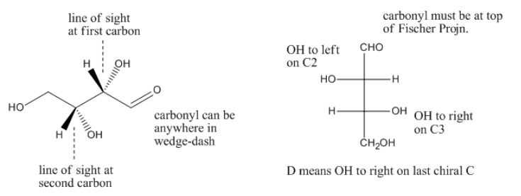 Diagramas etiquetados de D-threose en forma de cuna-guión y proyección Fischer. En la cuña y el guión, las etiquetas indican que el carbonilo puede estar en cualquier lugar en el guión de cuña, y las líneas discontinuas indican las líneas de visión en el primer y segundo carbonos internos. En la proyección Fischer, el carbonilo debe estar en la parte superior. Las etiquetas resaltan que OH está a la izquierda en C2 y a la derecha en C3. Debajo de las proyecciones Fischer se lee “D significa OH a la derecha en la última C quiral.
