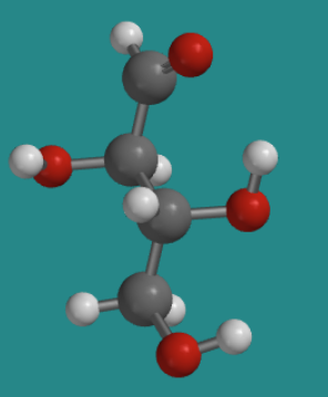Modelo de bola y varilla de D-eritrosa, que muestra el grupo hidroxilo C2 en el lado izquierdo y el grupo hidroxi C3 en el lado derecho.