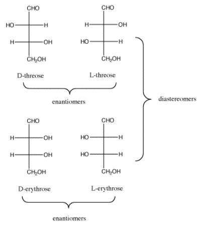 Relationships between D-threose, L-threose, D-erythrose, and L-erythrose as Fischer projections.