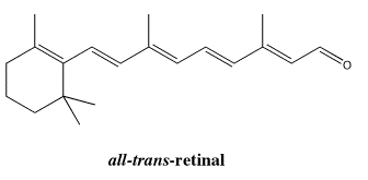 Bond-line structure of all-trans-retinal.