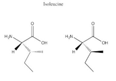 Respuesta al Ejercicio 5.12.2, mostrando dos diastereómeros de isoleucina.