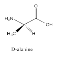 Bond-line structure of D-alanine.