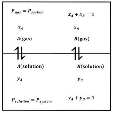 16.1: Solutions Whose Components are in Equilibrium with Their Own