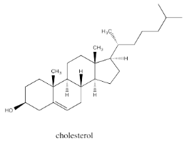 Skeletal structure of cholesterol, a four-ring organic molecule.