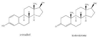 Skeletal structures of estradiol and testosterone, both composed of four rings.