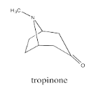 Skeletal structure of tropinone. A single-member bridge in the middle is formed by a single nitrogen atom, which has an N-methyl group attached.