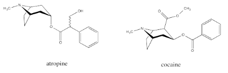 Estructuras esqueléticas de atropina y cocaína. Ambas son estructuras de anillo bicíclicas con grupos benzoato.