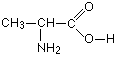 aminoacid.GIF