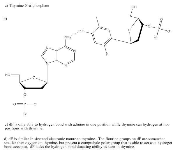 Adenosine binding to a nucelotide with two fluorine groups.