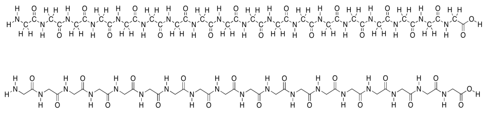 Cadenas peptídicas con y sin hidrógenos alquílicos dibujados. La cadena sin hidrógenos alquílicos está mucho menos desordenada.