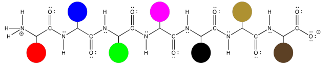 Heptapéptido con grupos R reemplazados por puntos coloreados.