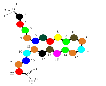 Veintidós cadenas peptídicas con péptidos cinco a través de eigtheen doblados en una horquilla, estabilizados por enlaces de hidrógeno.