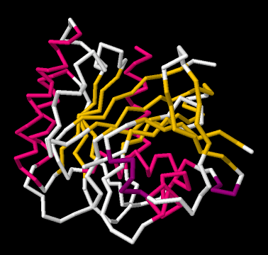 Modelo Wireframe de una proteína compleja. Los diferentes dominios están coloreados de manera diferente.