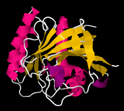 Modelo proteico con hélices alfa, láminas beta y giros representados.