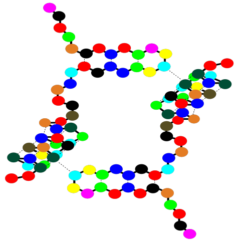 Dos subunidades proteicas con líneas discontinuas que representan enlaces de hidrógeno que las conectan.