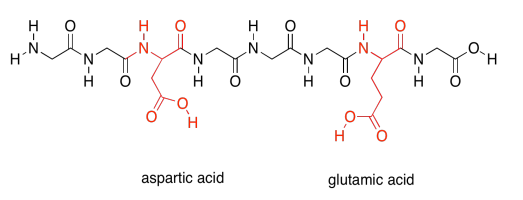 Cadena peptídica de ácido aspártico y ácido glutámico.