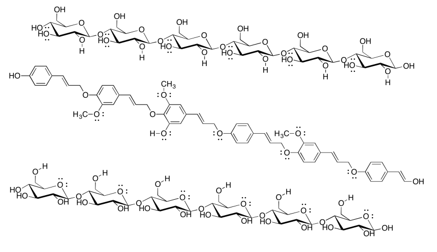 Dos cadenas de celulosa, una en la parte superior y otra en la parte inferior, con una cadena de lignina entre ellas.