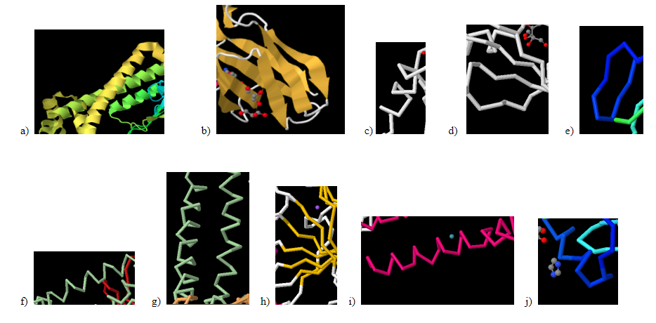 Close-ups of several 3D models of proteins, showing specific secondary structures.