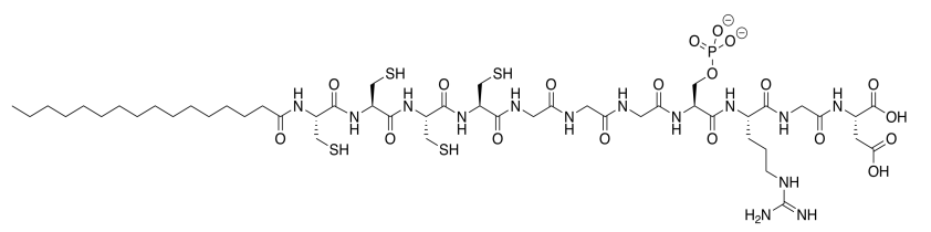 Un péptido grande con un ácido graso en su extremo N-terminal y una cadena de aminoácidos: cuatro cisteínas, tres glicinas, un fosfato, arginina, glicina y ácido aspártico.