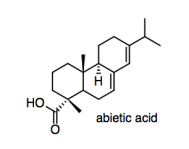 Skeletal structure of abietic acid.