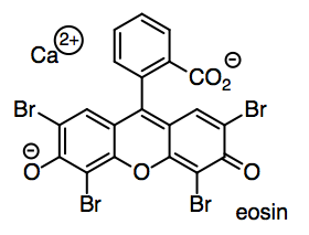 Estructura esquelética del anión eosina.