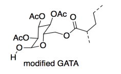 GATA modificada con varios grupos acetato unidos.