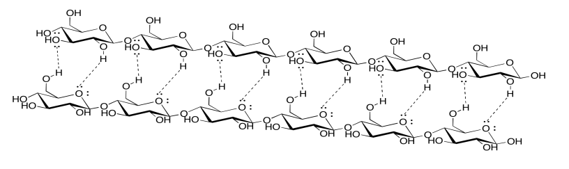 Dos hebras de celulosa con enlaces de hidrógeno entre ellas.