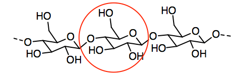 Cadena de celulosa con subunidad individual de glucosa en círculo.