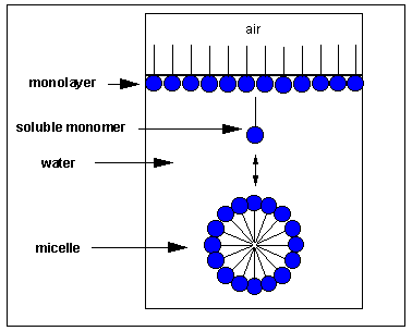 Formación de una micela en agua a partir de una monocapa de moléculas anfipáticas.