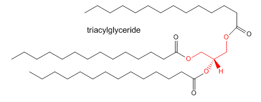 Skeletal structure of a triacylglyceride, with three fatty acid chains attached via ester linkages to a glycerol molecule.