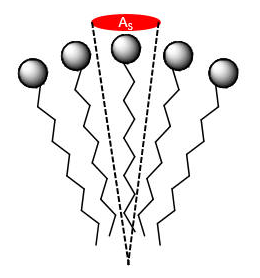 Aggregate of amphipathic molecules. Each molecule has a cone shape, with the polar head group as the largest part.
