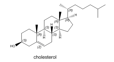 Skeletal structure of cholesterol.