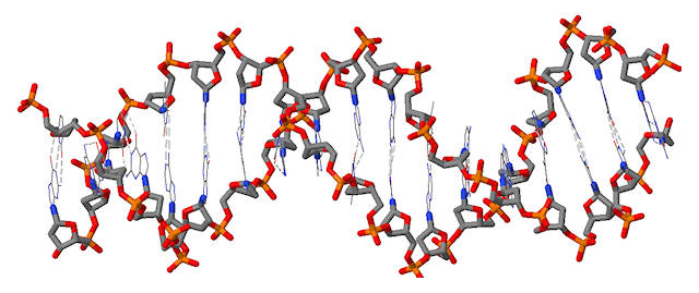 Modelo de estructura metálica de doble hélice de ADN.
