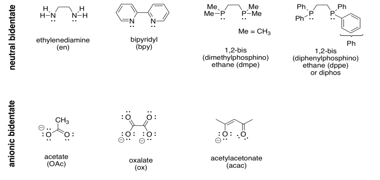 Neutral bidentate ligands: ethylenediamine, bipyridyl, 1,2-bis(dimethylphosphino)ethane, 1,2-bis(diphenylphosphino(ethane or diphos. Anionic bidentate ligands: acetate, oxalate, acetylacetonate.