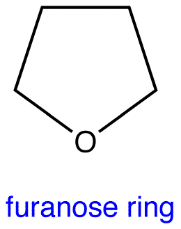 furanose2.png