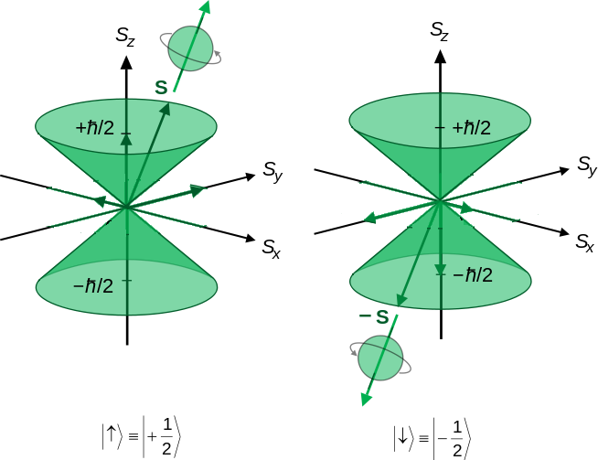 654px-Spin_half_angular_momentum.svg.png