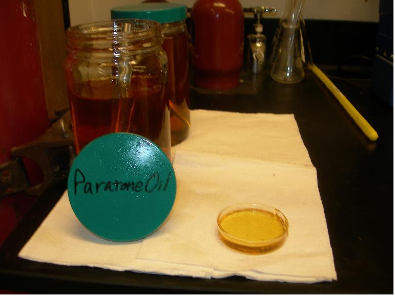 paratone.jpg