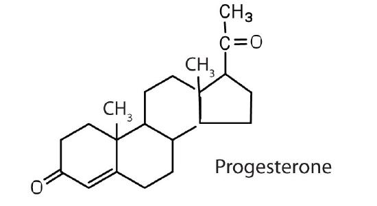 progesterone.jpg