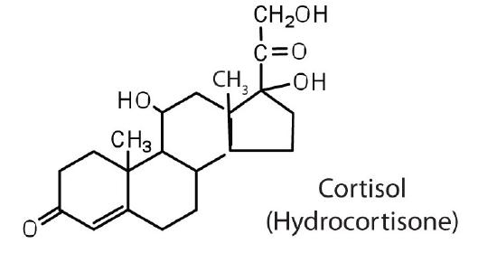 cortisol.jpg