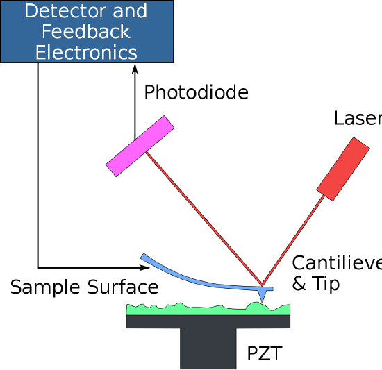 1200px-Atomic_force_microscope_block_diagram.svg.png