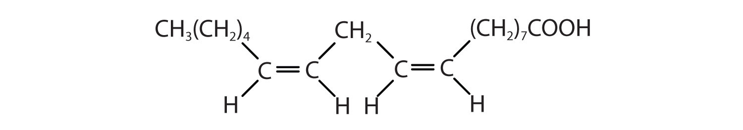 Fatty acid with two double bonds. 