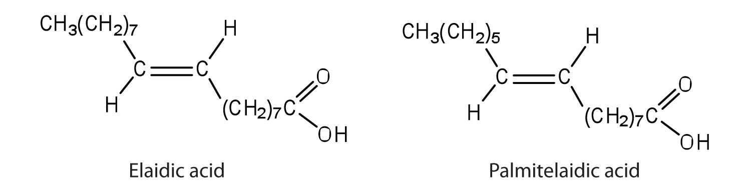 E1b.jpg
