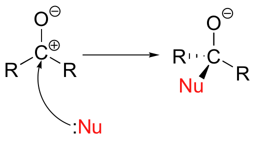 Diagram showing a general nucleophile attacking a carbocation forming a bond with the carbon.