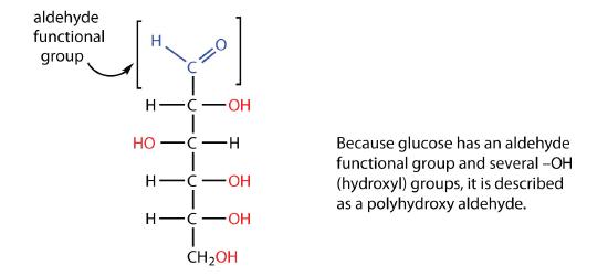 Chemical diagram of glucose. Because glucose has an aldehyde functional group and several hydroxyl groups, it is described as a polyhydroxy aldehyde.