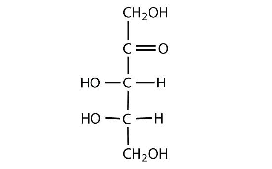 1b.jpg