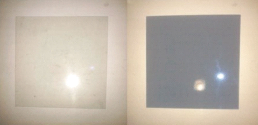 Polaroid sheet.jpg