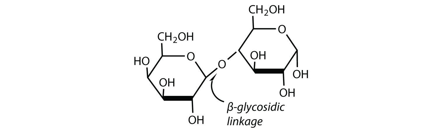 A3b.jpg