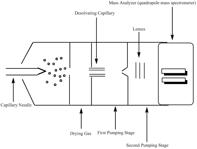 Electrospray Ionization Mass Spectrometry - Chemistry LibreTexts