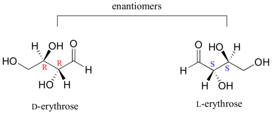 Enantiomers of erythrose. D-erythrose has hydroxyl groups and hydrogens in the R conformation. L-erythrose has hydroxyl groups and hydrogens in the S conformation.